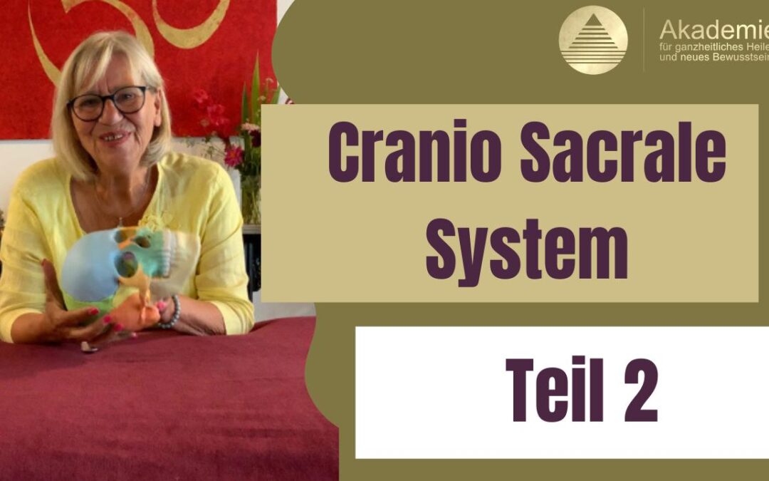 Dein Schädel ist beweglich! Das Craniosacrale System Teil II