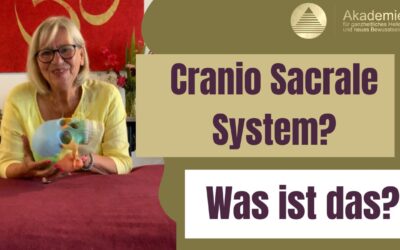 Bedeutung des Craniosacralen Systems