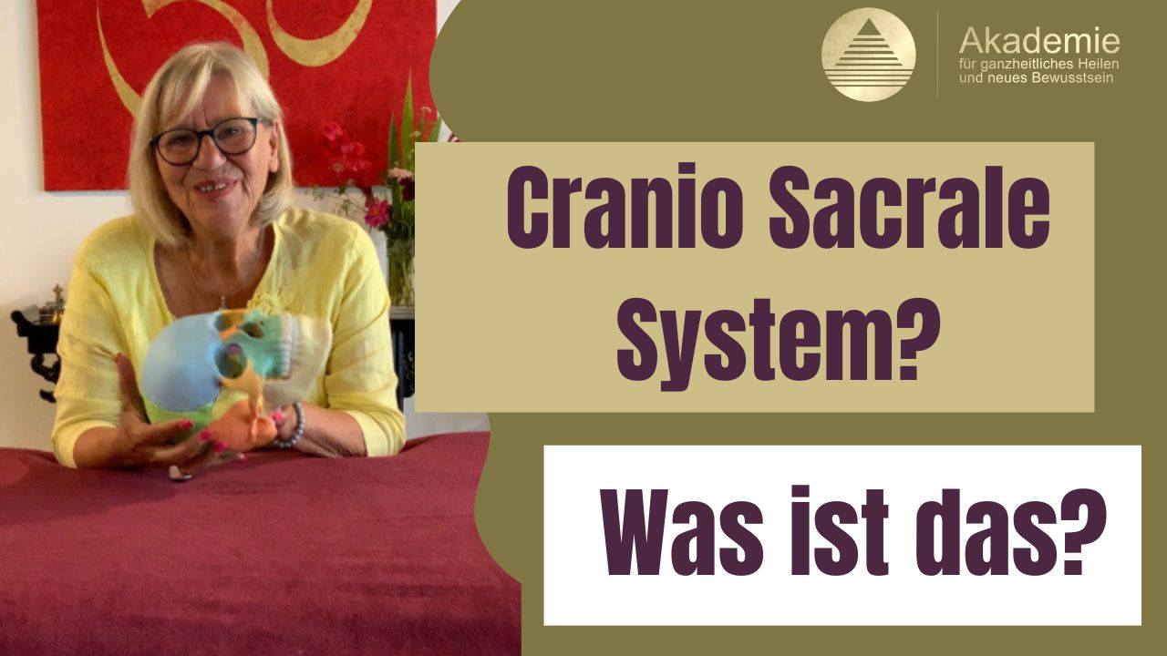 WhatsApp Image 2025-09-03 at 18.50.52